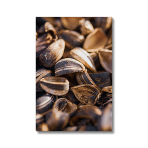Sun Flower seeds shells