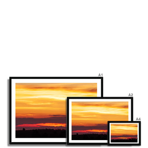 Forest Sunset