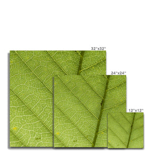 Leaf fractal