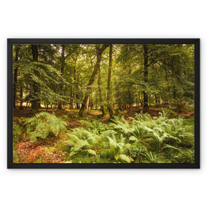 Fern view