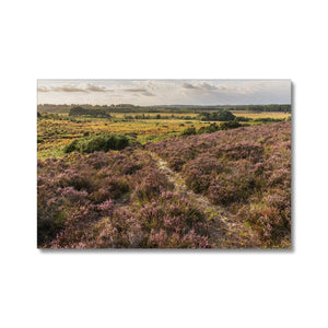 Holm Hill Heather