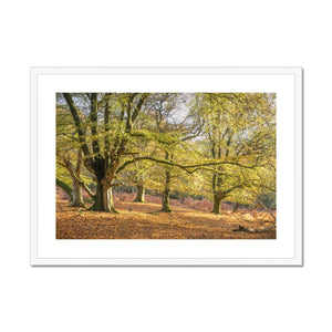 Golden autumn sunlight