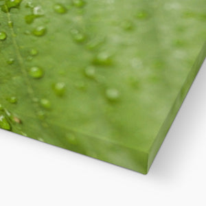 Leaf droplets