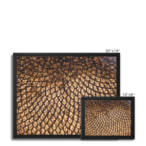 Sun Flower seed pattern