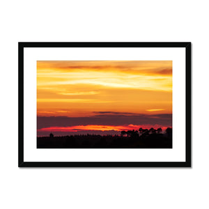Forest Sunset