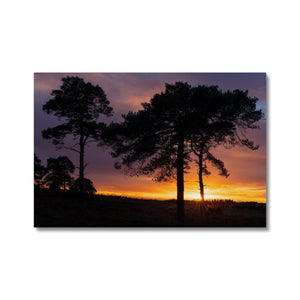 Sunset silhouette
