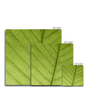 Leaf fractal