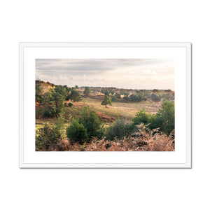 Autumn forest landscape