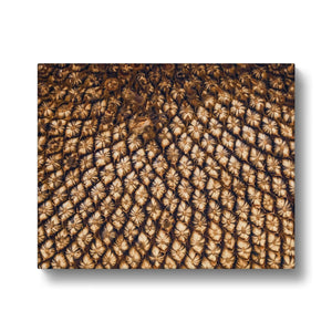 Sun Flower seed pattern