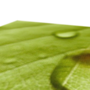 Leaf droplets 4