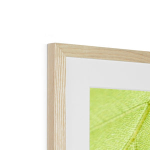 Leaf droplets 5