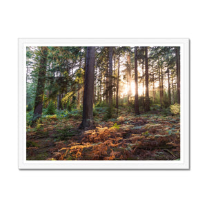 Wilverly at sunset Framed Print