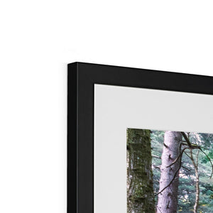 Tranquil autumn woodland