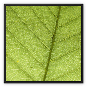 Leaf fractal