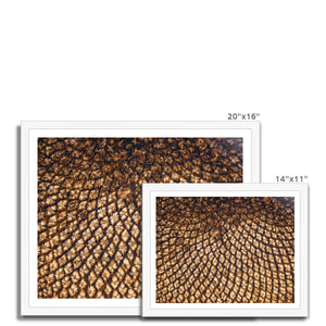Sun Flower seed pattern