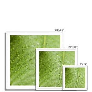 Leaf droplets