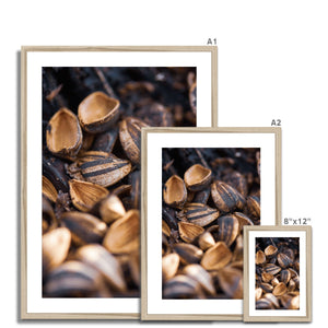 Sun Flower seeds shells 2