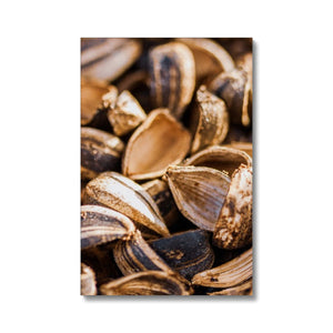 Sun Flower seeds shells 3