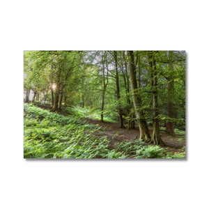 Spring valley