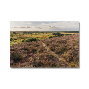 Holm Hill Heather
