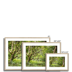 Green forest landscape