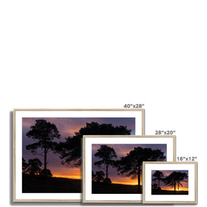 Sunset silhouette