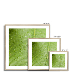 Leaf droplets