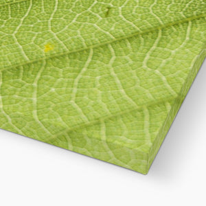 Leaf fractal