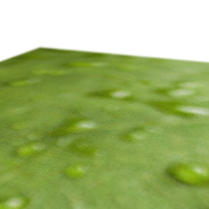 Leaf droplets