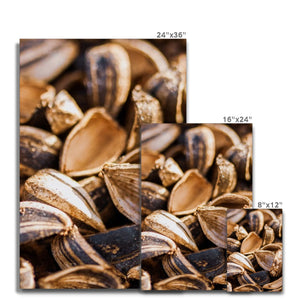 Sun Flower seeds shells 3