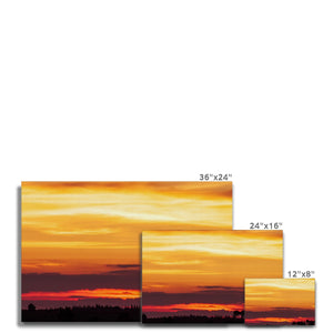Forest Sunset