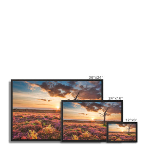 Heather Sunset