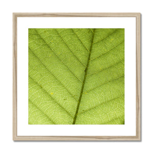 Leaf fractal