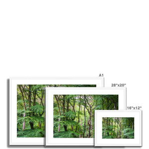 Shades of nature