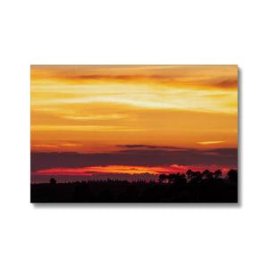 Forest Sunset