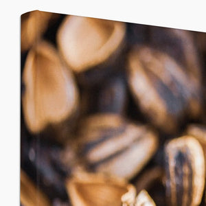 Sun Flower seeds shells 3