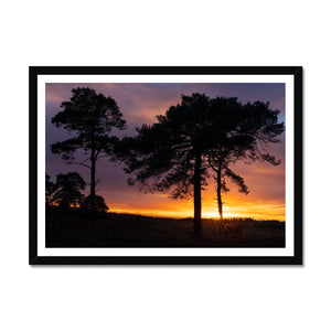 Sunset silhouette