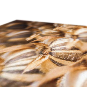 Sun Flower seeds 3