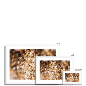 Sun Flower seeds 3