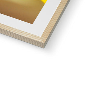 Sun Flower 4