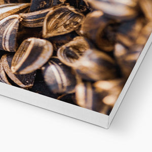 Sun Flower seeds shells 3