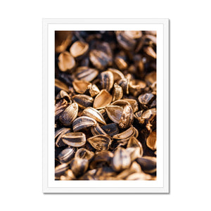 Sun Flower seeds shells 3