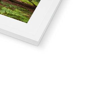 Green forest landscape