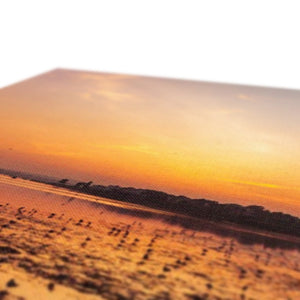 Low tide sunset