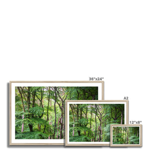 Shades of nature