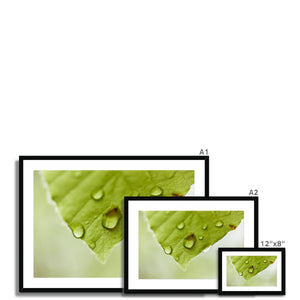 Leaf droplets 4
