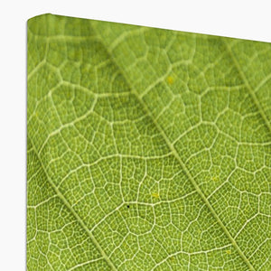 Leaf fractal