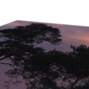 Sunset silhouette