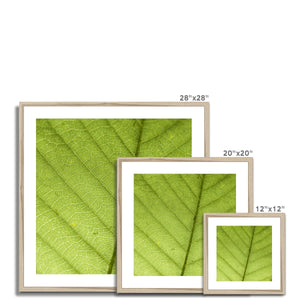 Leaf fractal