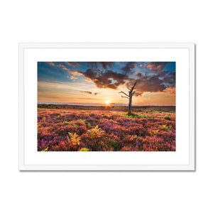 Heather Sunset